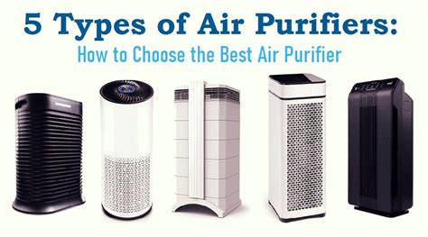 air purifier how to use: a journey through the labyrinth of clean air and existential musings