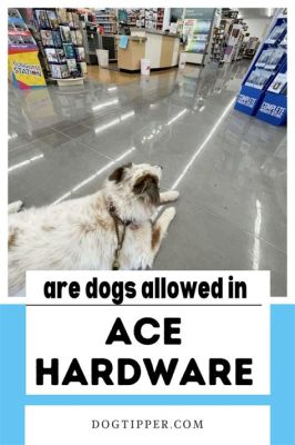 Can Dogs Go Into Ace Hardware: A Whimsical Exploration of Canine Companionship and Hardware Stores