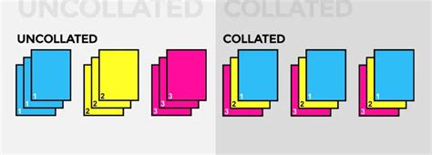 What Does Collate Mean When Printing Double Sided? And Why Do Cats Always Sit on Important Documents?