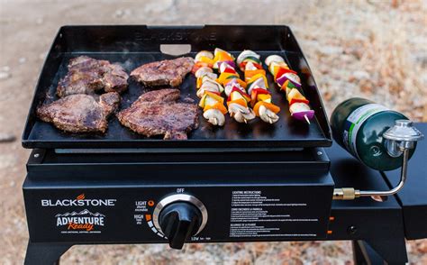 What to Cook on an Electric Griddle: A Culinary Adventure Beyond the Ordinary